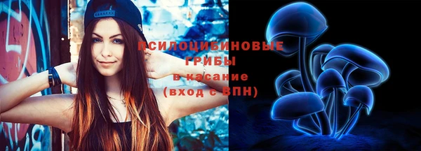 PSILOCYBIN Карпинск