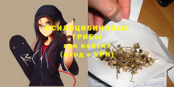 крисы Каменск-Шахтинский