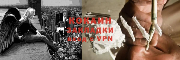 соль ск Каменногорск