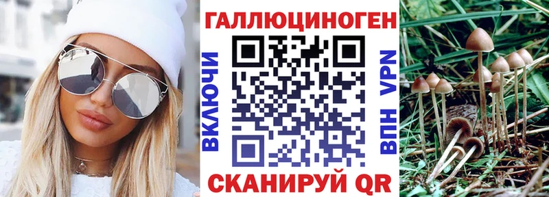 где купить наркотик  Красный Кут  Галлюциногенные грибы Psilocybine cubensis 