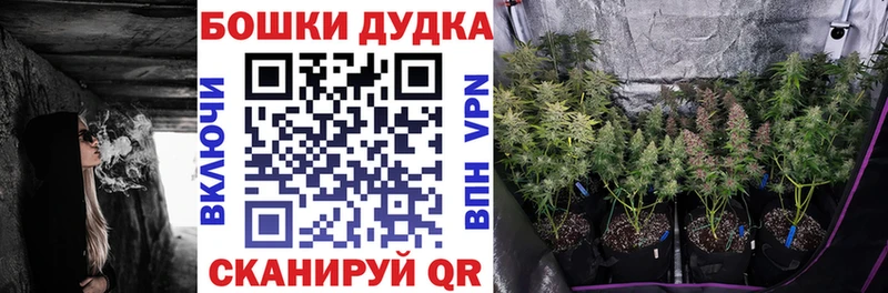 Шишки марихуана ГИДРОПОН  где найти наркотики  Красный Кут 